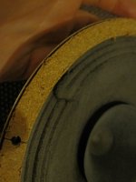 IMG_5481.jpg
