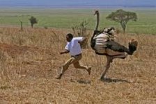 man chased 3.jpg
