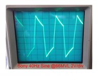 Sony Sine.jpg
