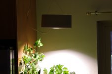 light2.JPG