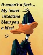 Fart - Daffy Duck.jpg