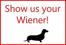 Show Us Your Wiener.jpg