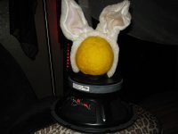 IMG_2533.JPG