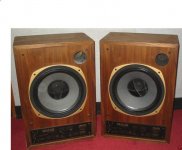Tannoy 12 inch Dual Concentric.JPG