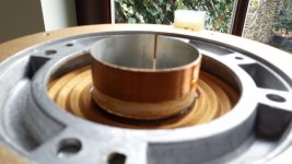 CameraZOOM-20150314101057669.jpg