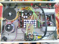 Amp-guts.jpg