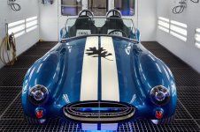 3D Printed Cobra.jpg