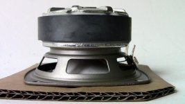 Fostex Basket.JPG