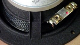 10F Back Detail.jpg