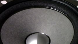 Fostex Cone.JPG
