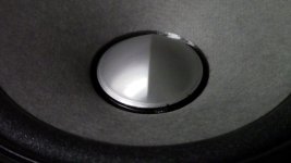 Fostex Cone 2.JPG