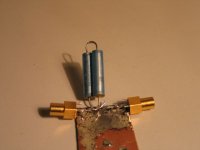 img_6593r.jpg