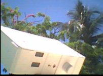 tropic swing.jpg