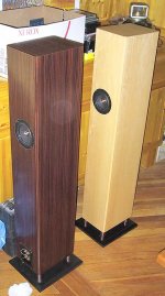bipole-ml-tl-1.jpg