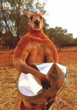 kangaroo crush.jpg