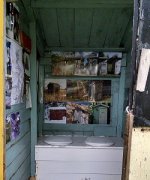 pic2.jpg