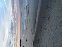 IMG_0625.JPG