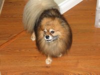 IMG_0168.jpg