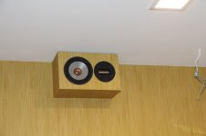 SEAS 16 woofer with NeoCD3.0 rear.jpg