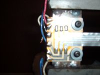 ribb 008.JPG
