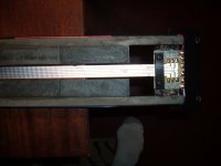 ribb 002.JPG