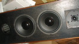 DSC00312.JPG
