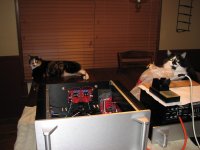 IMG_4071[1].JPG