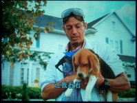 dog5,,.jpg