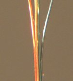 wire-a1 copy.jpg