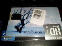 anne bsson.jpg
