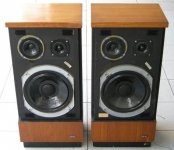 Goodmans Goodwood speaker.JPG