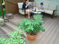 DSC02570.JPG