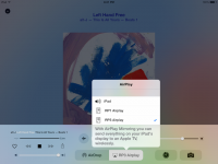 moode-r21-airplay.png