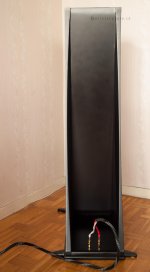 XZ273535.jpg