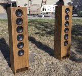 linearray11small2.jpg