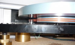 SkeletaLinn Silicon Double Belts.jpg