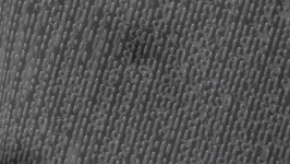 cd pattern.png