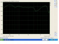 NEW MT50 SILENCER-TWARON ANGEL HAIR.JPG