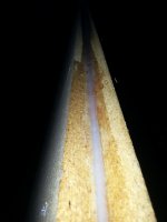 20150612_203958.jpg