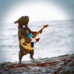 Rock On Doggy.jpg