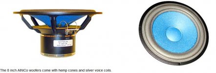 Audio Note SEAS AlNiCo Bass.JPG