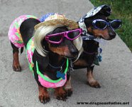 baron_beach_bums_small.jpg.w300h242.jpg