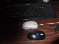 mouse.jpg
