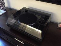 IMG_1239.jpg