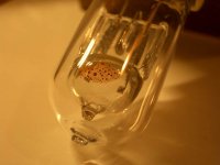 bulb.jpg