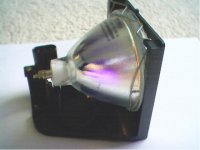 bulb3.jpg