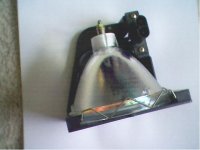 bulb4.jpg