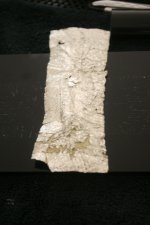 bybee2 002.jpg