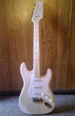 Danocaster Project b.jpg