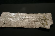 bybee2 005.JPG